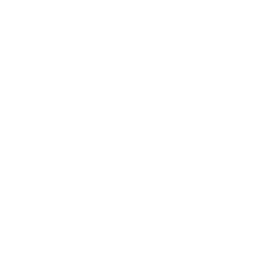 Spécialiste TESLA